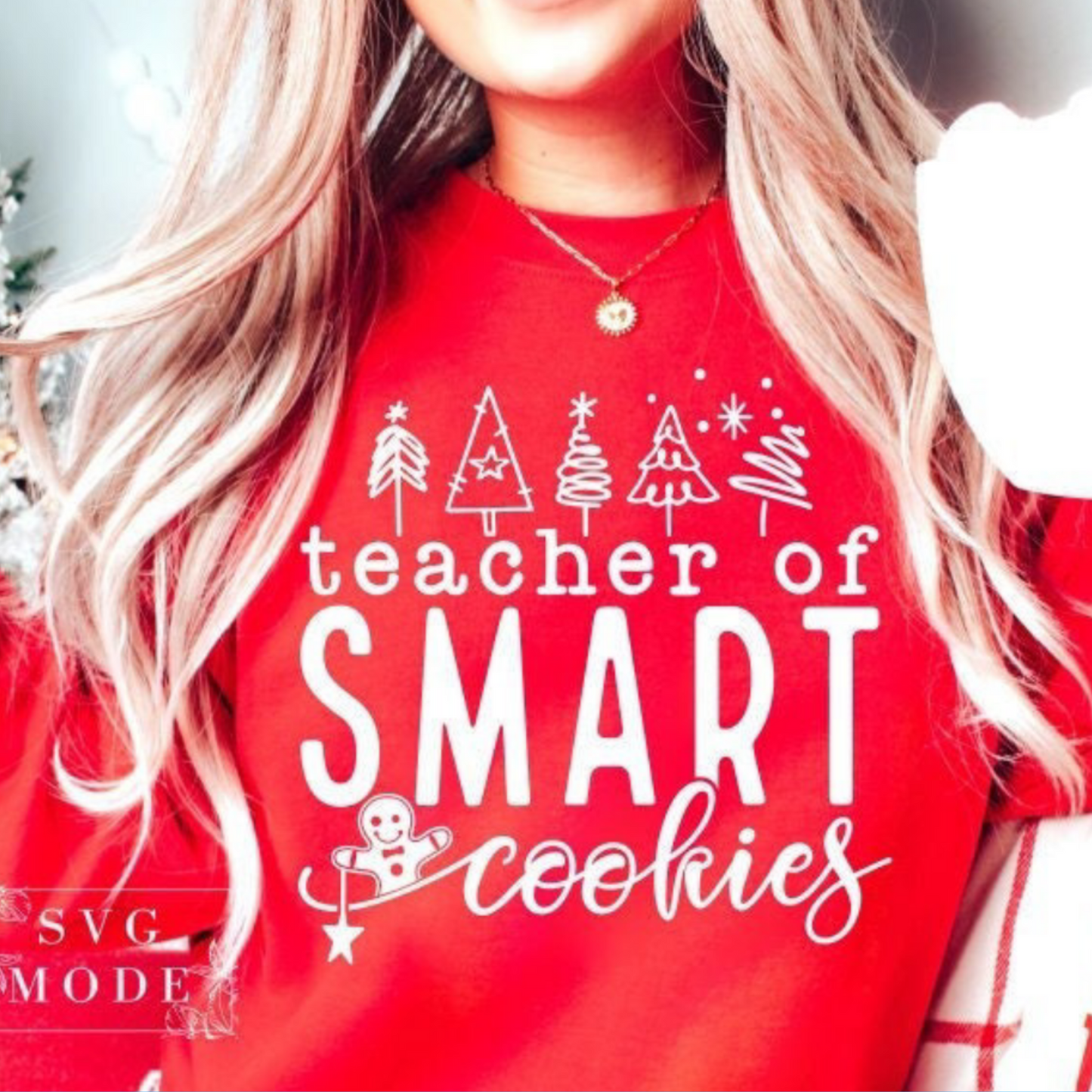 Teacher of Smart Cookies